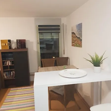Apartment Gemütliche In Neustadt / Alaunpark